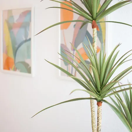 Love Torremolinos Apartment Apartment