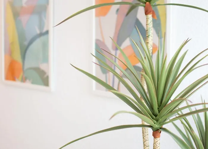 Centro Y Playa 公寓